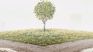 in his own name, the new novel by Luisa Maria Ahumada in his own name, the new novel by Luisa Maria Ahumada