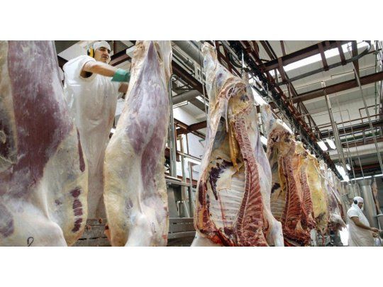 Ambos países acordaron apertura recíproca del mercado. El ministerio de Agricultura trabaja en un acuerdo con el país asiático para colocar arándanos, uvas y cerezas en el mercado nipón.