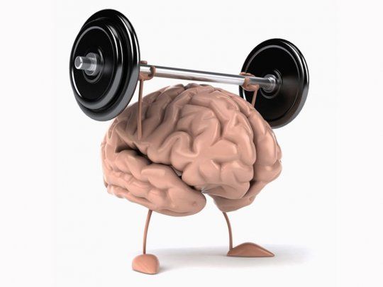 Descubrí cómo la dieta cetogénica puede potenciar la función cognitiva y proteger tu cerebro.
