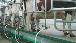 On the world average, milk production grew by 0.68% in the first four months of the year On the world average, milk production grew by 0.68% in the first four months of the year