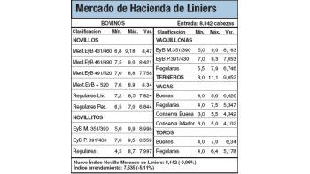 Novillos cayeron entre 1,5% y 3%