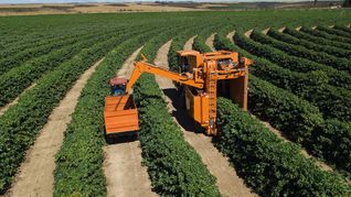 ámbito.com | producción agropecuaria.jpg