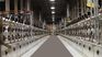 The bankruptcy process will not stop the company's daily operations. The bankruptcy process will not stop the company's daily operations.