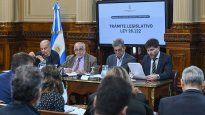 Comisión de la Comisión Bicameral de Trámite Legislativo.&nbsp;
