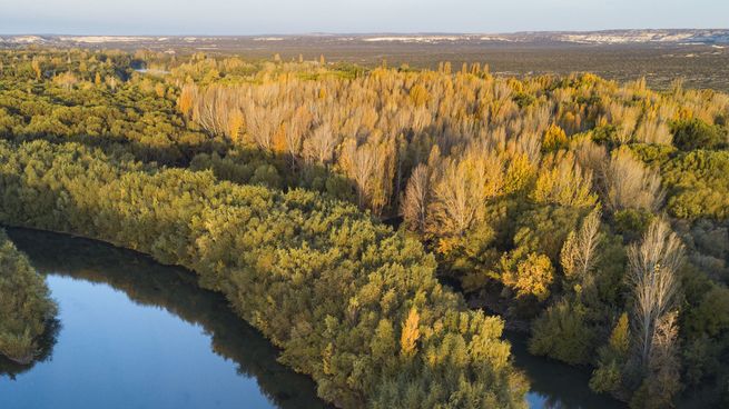 La combinación de paisajes rurales y actividades al aire libre hace de Río Colorado un excelente lugar para desconectar.