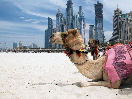 En abril de 2021, los EAU anunciaron la estructuración de un fondo de inversión de 10.000 millones de dólares para invertir en sectores estratégicos en Israel, como energía, agua, manufactura, espacio, agro-tecnología y atención médica