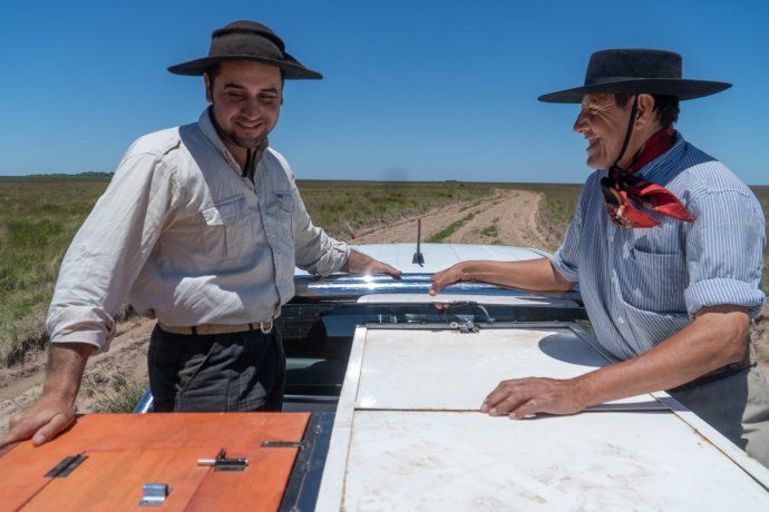 Trasladan dos cachorros de yaguareté nacidos en el Impenetrable chaqueño