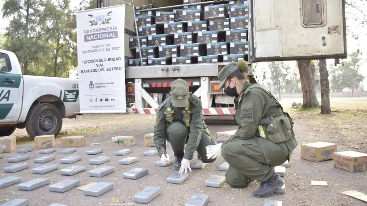 Narcobananas: secuestran 105 kilos de cocaína ocultos en un camión