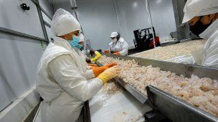 La adquisición forma parte del plan de inversiones que AISA Group impulsa desde su desembarco en el negocio pesquero argentino. La adquisición forma parte del plan de inversiones que AISA Group impulsa desde su desembarco en el negocio pesquero argentino.