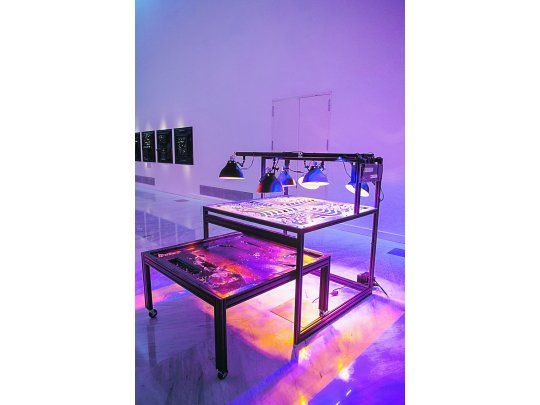 Perecedero. El artista muestra, mediante lámparas que aceleran la disolución, lo efímero de las huellas del hombre.