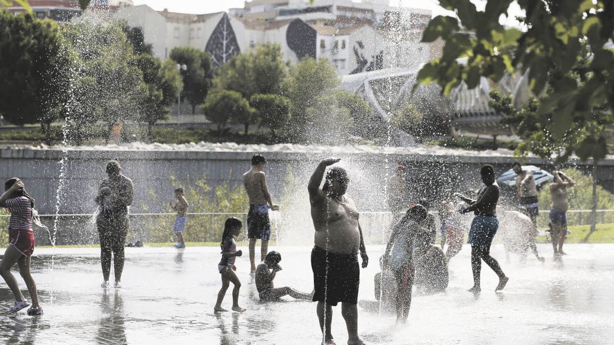 Ola de calor en Europa: la OMS contabilizó 15.000 muertes
