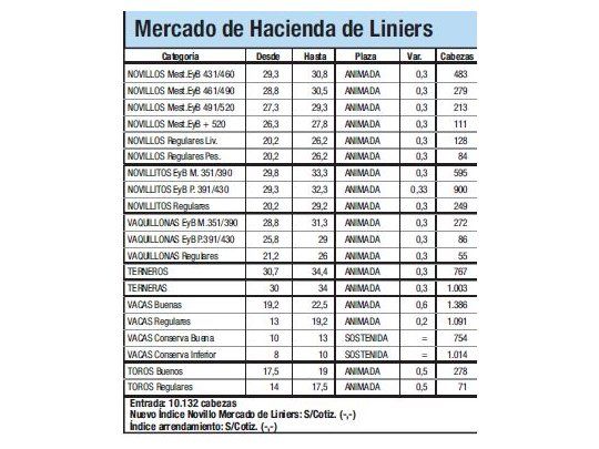 Índice Novillo subió un 2,8% en Liniers