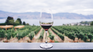Argentine wine dates back to the 15th century. Argentine wine dates back to the 15th century.