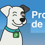 Todos los beneficios de la app se pueden encontrar en las redes sociales verificadas del Banco Provincia. Todos los beneficios de la app se pueden encontrar en las redes sociales verificadas del Banco Provincia.