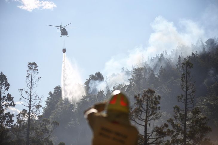 Los brigadistas combaten el fuego en el Parque Nacional Los Alerces. Los brigadistas combaten el fuego en el Parque Nacional Los Alerces.