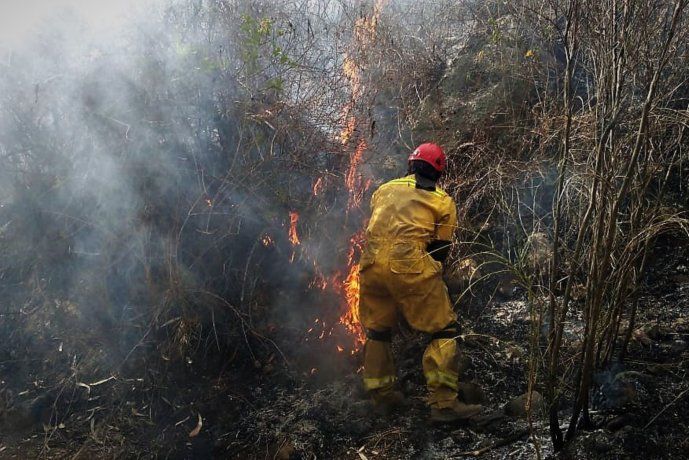 Bomberos y brigadistas trabajan intentando apagar el fuego. 