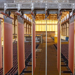 La mina Johnson Camp es actualmente el productor de cobre primario con menor huella de carbono en Estados Unidos bajo el criterio “de la mina al metal refinado”. La mina Johnson Camp es actualmente el productor de cobre primario con menor huella de carbono en Estados Unidos bajo el criterio “de la mina al metal refinado”.