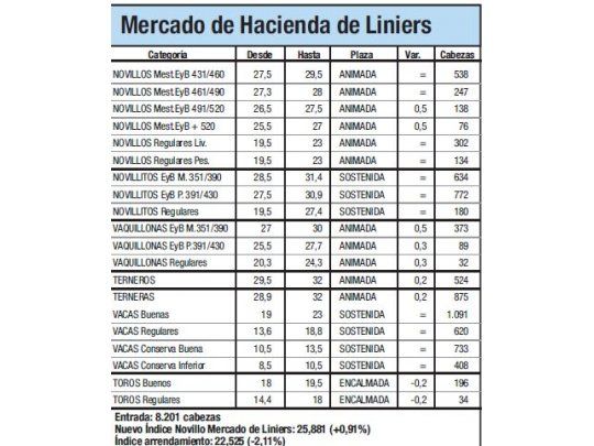 Mercado de Liniers: Novillo subió 0,9%