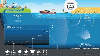 El cuadro detalla los distintos plásticos que llegan al mar.