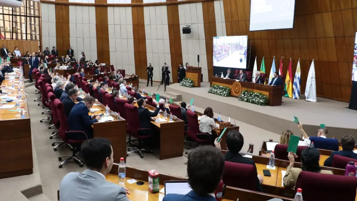 Parliamentarians from Parlasur presented a request for reimbursement of travel expenses and trips to attend the organization’s meetings