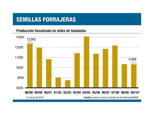 ¿Cuánto pasto hay?