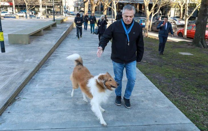 El precandidato del Frente de Todos, Alberto Fernández, junto a su perro Dylan.