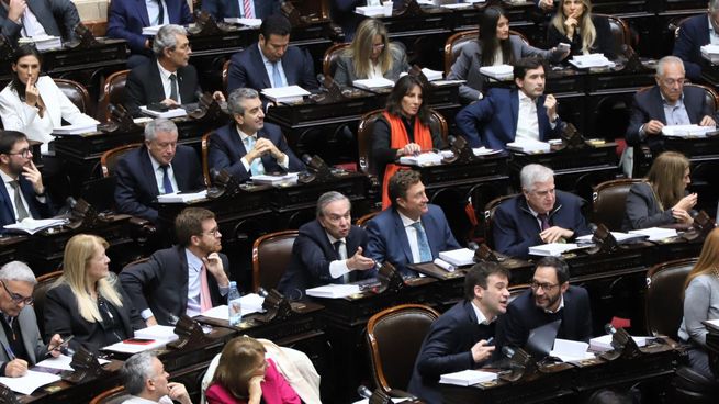 En una jornada histórica, la cámara de Diputados dio media sanción al proyecto de ley Bases impulsado por el gobierno de Javier Milei.