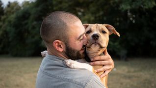 El vínculo con los perros puede revelar rasgos de la personalidad del dueño. El vínculo con los perros puede revelar rasgos de la personalidad del dueño.