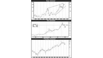 ámbito.com | 2008, un año correctivo para los commodities