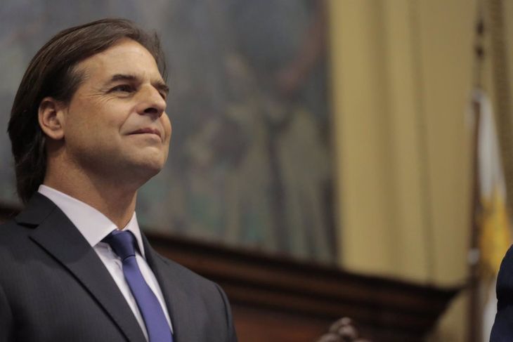 Lacalle Pou señaló la importancia que tienen las abejas para la economía uruguaya y el cuidado del medioambiente.