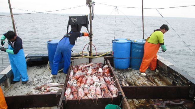 Pesca. Otro sector clave de la economía le pide a Milei la suspensión de las retenciones.