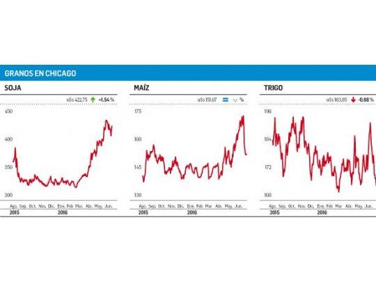 El maíz tuvo una jornada con fuerte demanda local