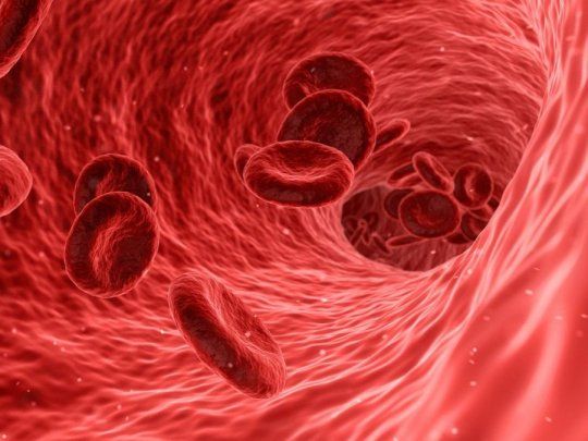 Piden que el tipo de sangre sea tomado en cuenta a la horade elegir el procedimiento para tratar a los pacientes con coronavirus.