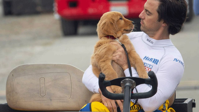 The moving Netflix movie that will make you cry: if you liked Marley and I can’t stop seeing her