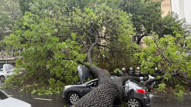 Un árbol aplastó varios autos en Almagro debido a la tormenta.&nbsp;