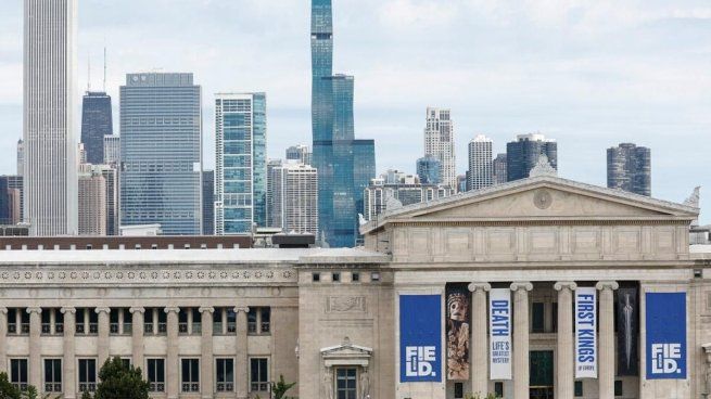 Guinness World Records anunció que dejará de considerar a Pohlsepia mazonensis como el pulpo más antiguo.