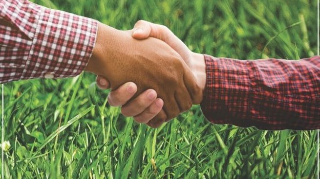 URF y DLF unirán la “potente cartera de productos” de la europea y “el servicio integral, soporte técnico y alcance geográfico” de la uruguaya. (Foto: DLF)