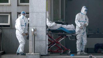 coronavirus: siete de los 128 evacuados de wuhan por alemania fueron aislados por presentar sintomas