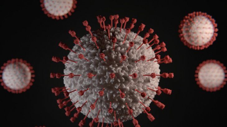 henipavirus.jfif
