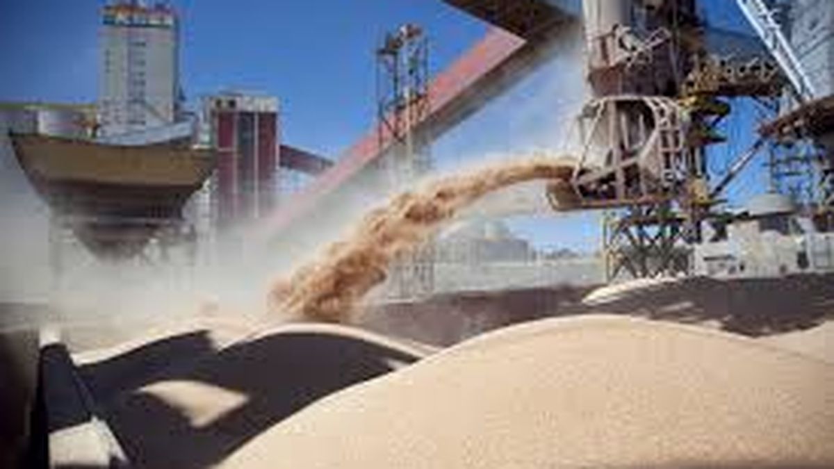 Strong setback in soybean meal exports complicates currency settlement