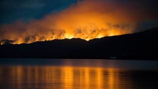 Crece la preocupación por el incendio en el Parque Nacional Los Alerces. 