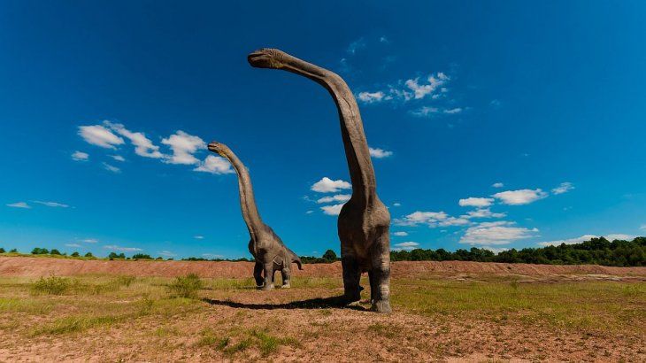 Los sauropodomorfos eran un grupo de dinosaurios herbívoros de cuello largo.