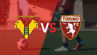 italia - serie a: hellas verona vs torino fecha 5