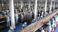Grupo Pinsa es dueño de los productos Dolores.