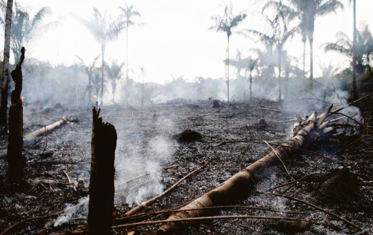 Inédito: Bolsonaro acusa ahora  a las ONG de incendiar la Amazonia