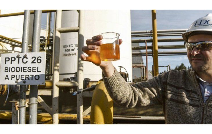 Combustible. El 90% de las exportaciones de biodiésel argentino tienen como destino EE.UU., en operaciones por u$s1.200 millones anuales.