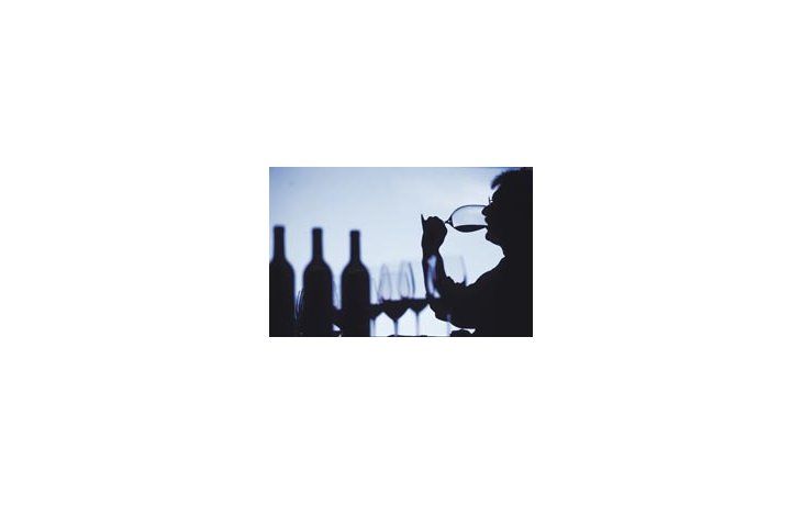 ámbito.com | La Argentina es el quinto productor de vinos del mundo -con una superficie cultivada de 226.000 hectáreas-, detrás de Italia, Francia, España y Estados Unidos.