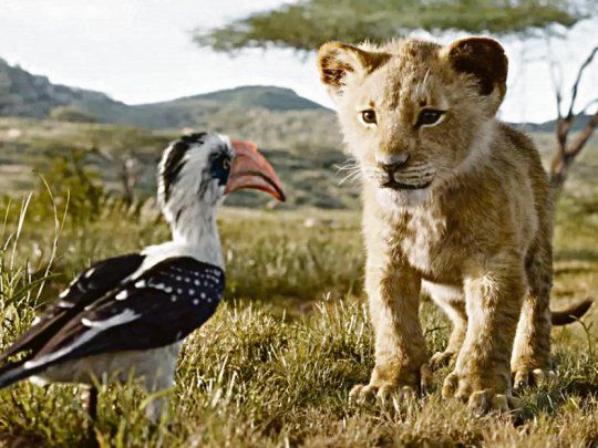 el rey león. Ningún animal es real y la casi totalidad de la película se generó digitalmente en computadoras y en espacios de realidad virtual.