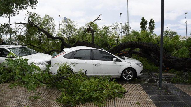 Temporal en CABA: cómo solicitar el subsidio por destrozos en autos o inmuebles.