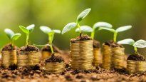 economia adopto una estrategia para impulsar el desarrollo de finanzas sostenibles